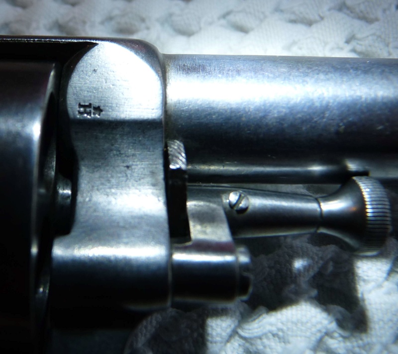 Identification revolver de type Bulldog P1080412