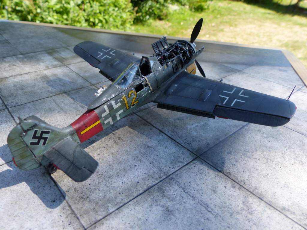 EDUARD FW 190 A8/R2 + EDUARD BRASSIN /MOTEUR P1070336