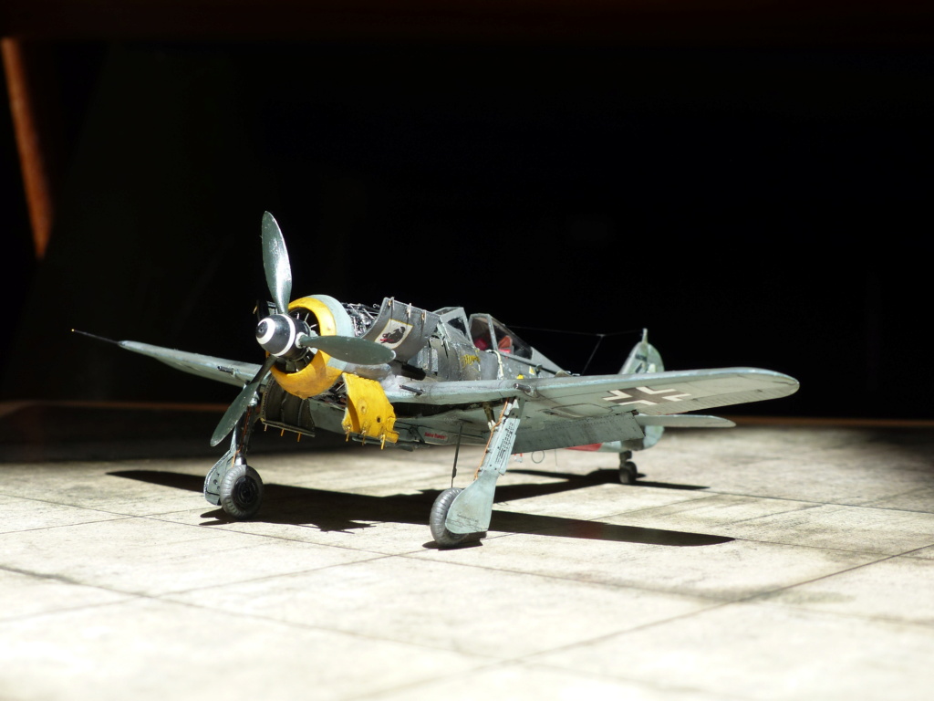 EDUARD FW 190 A8/R2 + EDUARD BRASSIN /MOTEUR P1070337