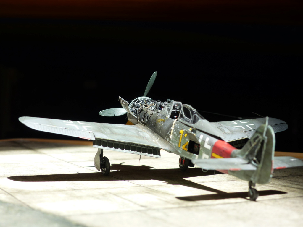 EDUARD FW 190 A8/R2 + EDUARD BRASSIN /MOTEUR P1070340