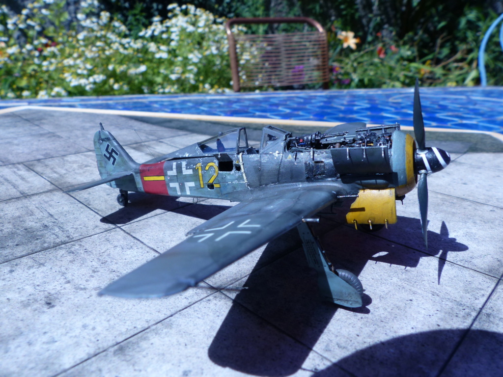 EDUARD FW 190 A8/R2 + EDUARD BRASSIN /MOTEUR P1070345