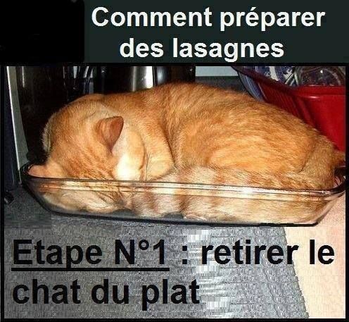 HUMOUR - Page 16 A5298c10