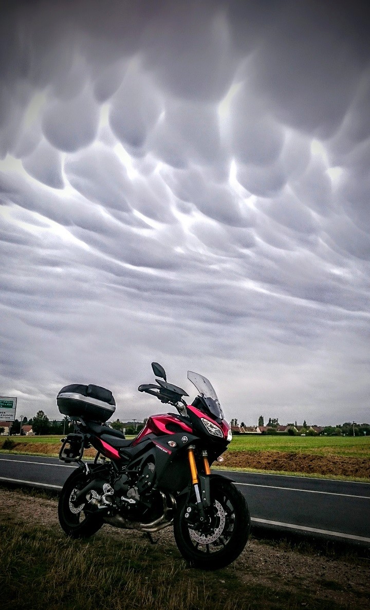 Ciel menacant dans le Vexin Français ! Dsc_0810