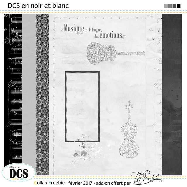 DCS en noir et blanc - Page 2 Previe19