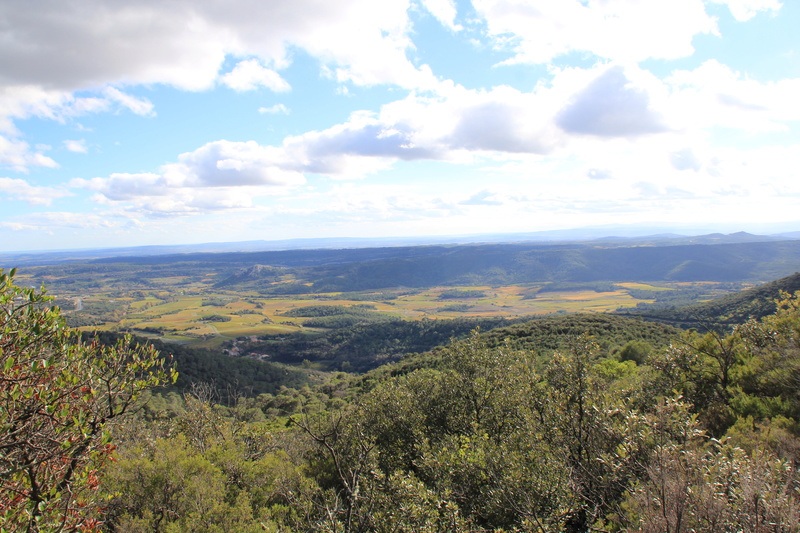 Concours photo du mois de novembre Img_5210