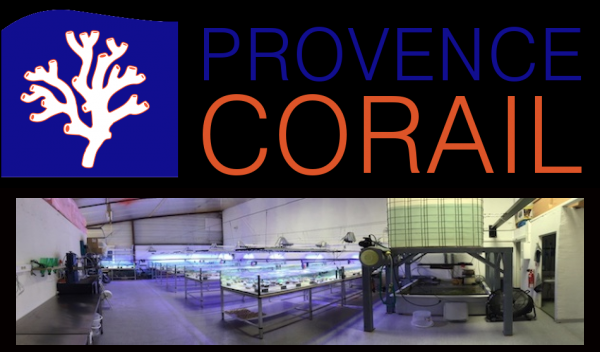 provence corail - Page 2 Captur14