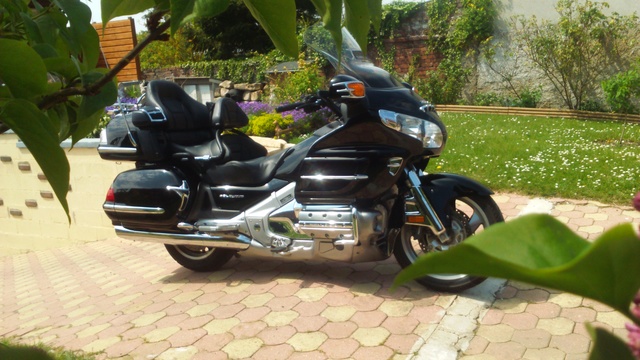 La "goldwing" Dsc_0211