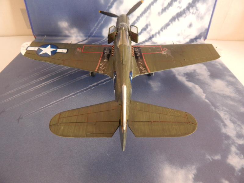 P-39 Airacobra de Eduard Dscn0212