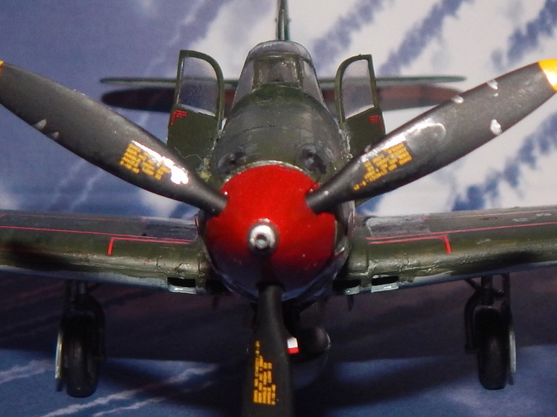 P-39 Airacobra de Eduard Rscn0212