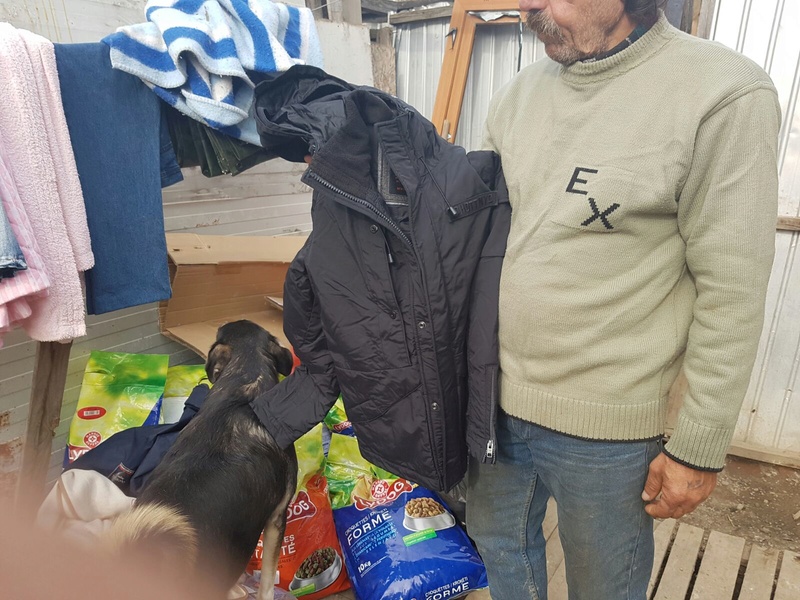 Cagnotte pour aider Alis et ses chiens ( Bucarest - Roumanie )  Img-2016