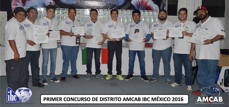 concurso - Fotos del PRIMER CONCURSO DE DISTRITO AMCAB IBC MÉXICO 2016 Foto_210