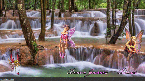 bonjours bonsoir de novembre - Page 2 Plonge11