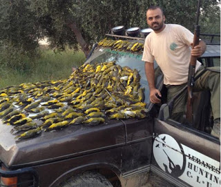Liban, le pays des massacreurs d'oiseaux migrateurs... Liban10