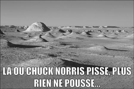 chuck norris - Page 3 Q50dd810