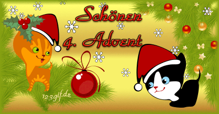 Wir wünschen Euch Allen einen schönen 1 - 4. Advent bzw. Nikolaus - Seite 3 Katzen10