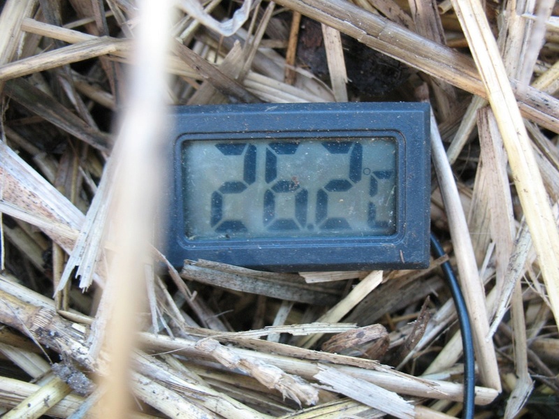 compost thermometer - TrolleyDriver's Compost Thermometer - Page 4 Img_2973
