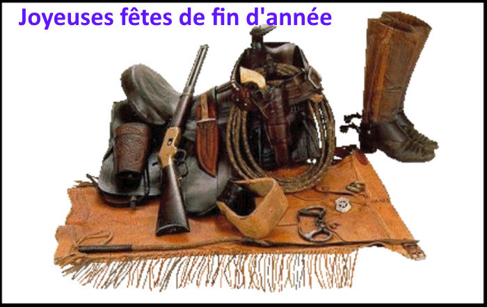 Dossier "Armes d'épaule"(à cartouche) Carabine 1873 45 LC 811