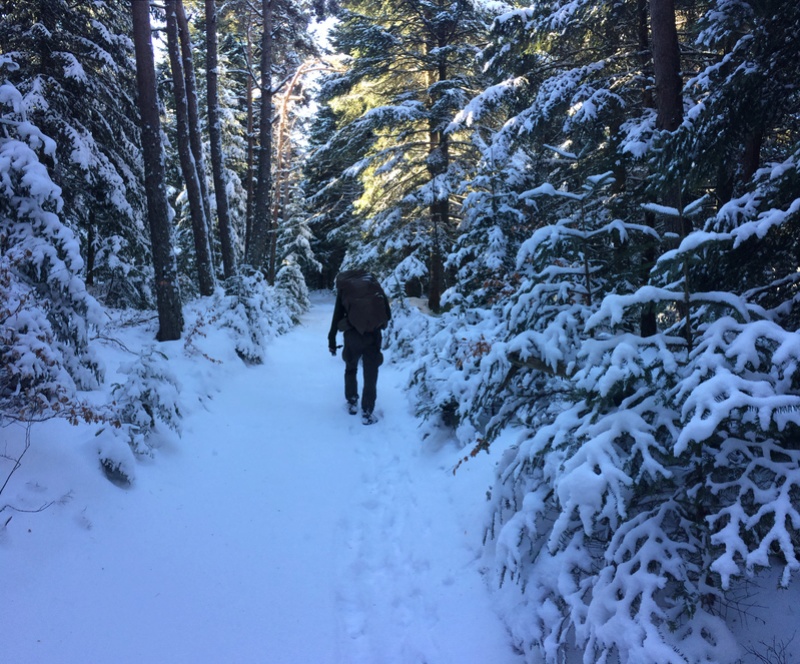 OP ZEUS les 22 et 23 Janvier 2017 - Prépa Ecusson Img_5614