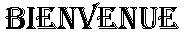 Présentation Bien_010