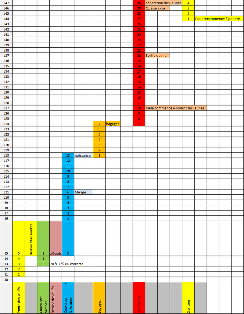 Saison 2017 RJL Cycle_10