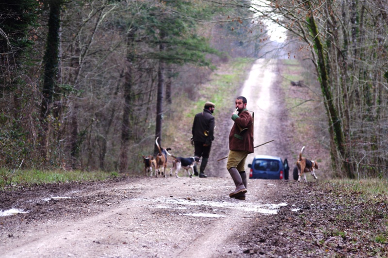 Rallye Au Pas Du Lièvre - Page 3 00618