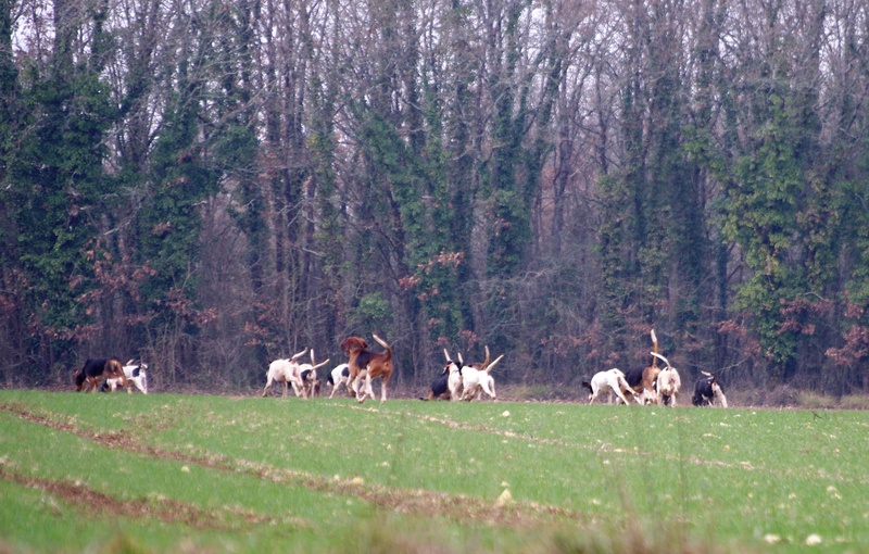 Rallye Au Pas Du Lièvre - Page 2 01215