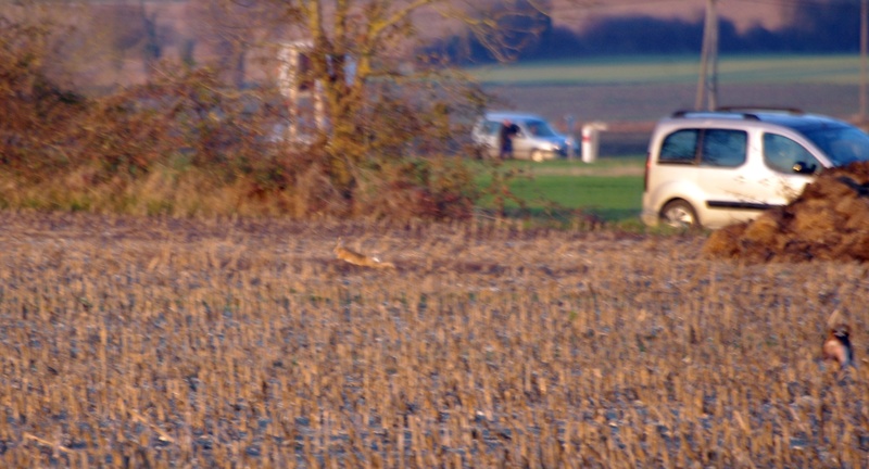 Rallye Au Pas Du Lièvre 08012