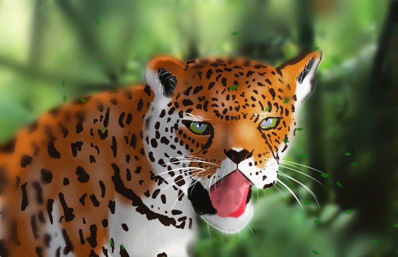Jaguar(animal) Jaguar10