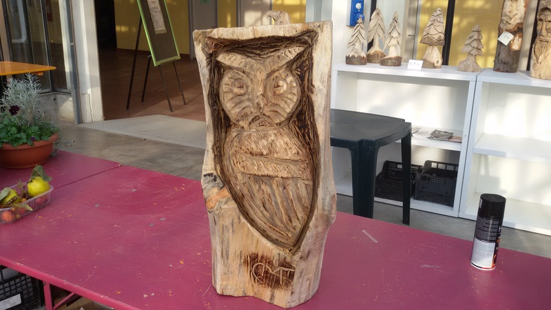 Sculture con motosega- Parte2 - Pagina 12 20161110