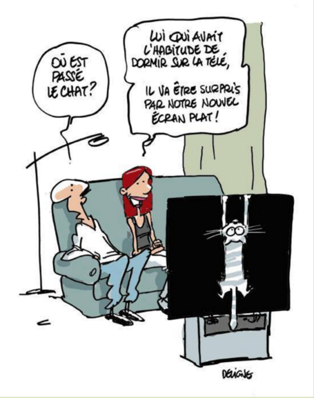 Humour en image du Forum Passion-Harley  ... - Page 27 Humour16