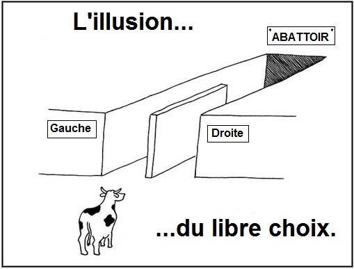 Valls présidentielle - Page 3 Choix-10