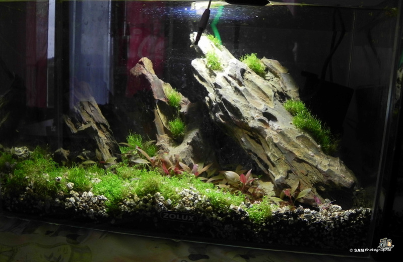 20l aquascaping  Depot_11