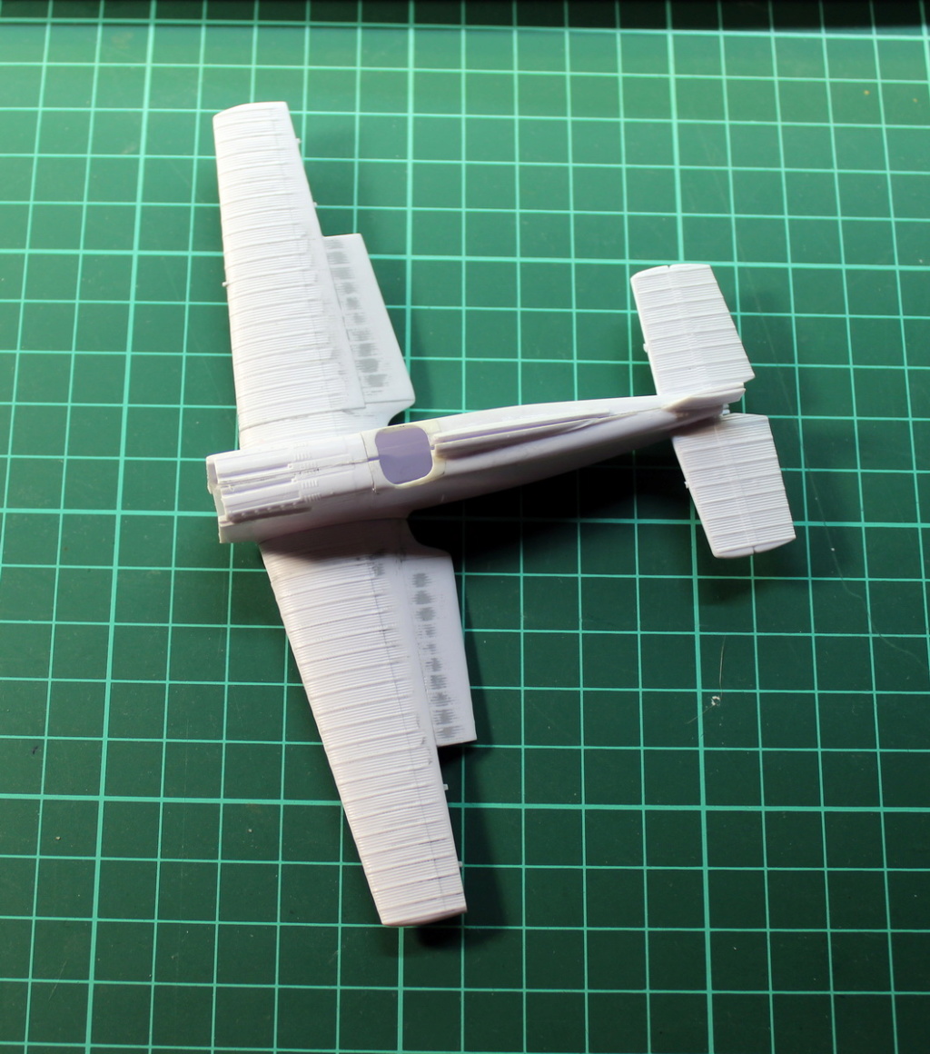 Polikarpov I-1 (Il-400b) ICM Img_1416