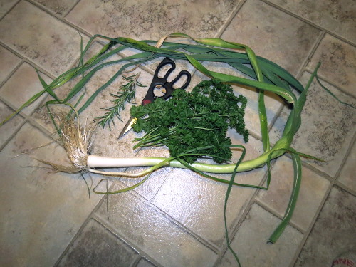 What are you eating from your garden today? - Page 40 Img_8114