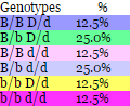 Mouse Genetics B_and_14