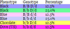 Mouse Genetics B_and_15