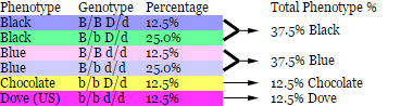 Mouse Genetics B_and_16