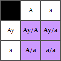 Mouse Genetics Final_10