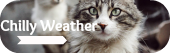 Affiliate: Our button Ca674011