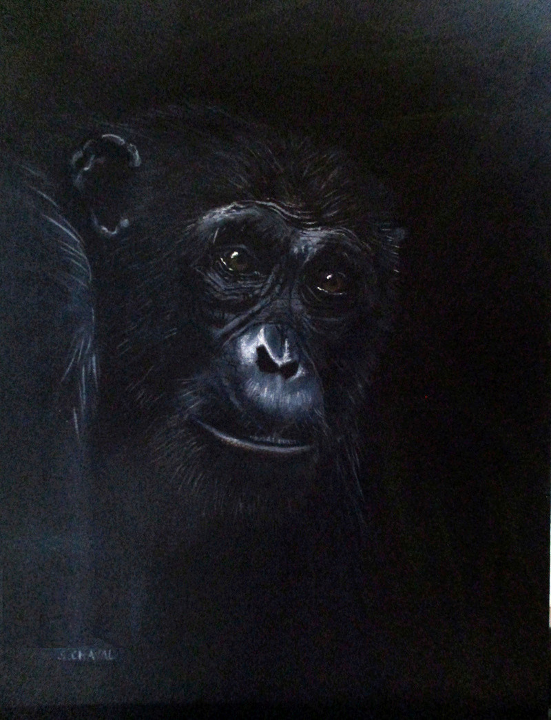 Paysage en cours (acrylique) Chimpa10
