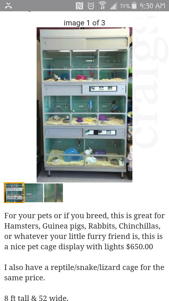 How good is your pet store? Screen10