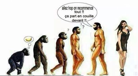 Mort de rire — parce que j'ai le sens de l'humour ! - Page 3 Evolut10