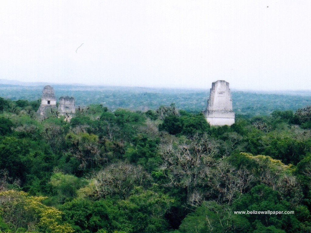 Guatemala  - Página 4 Tikal_11