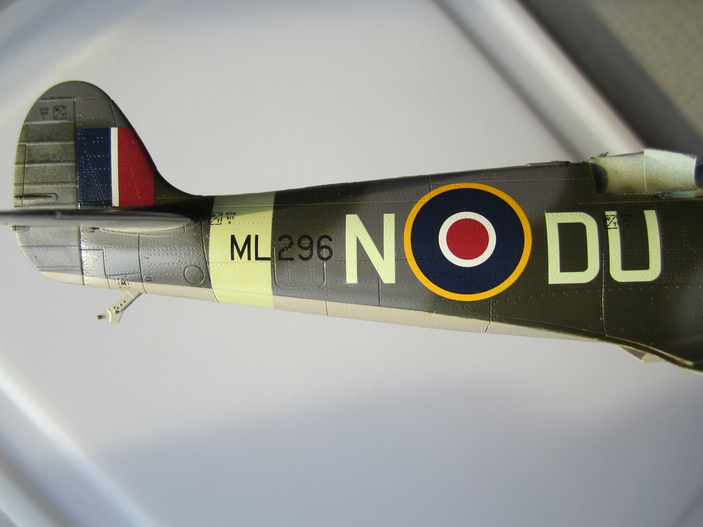 Supermarine Spitfire MK IX C 1/48 Eduard Img_2261