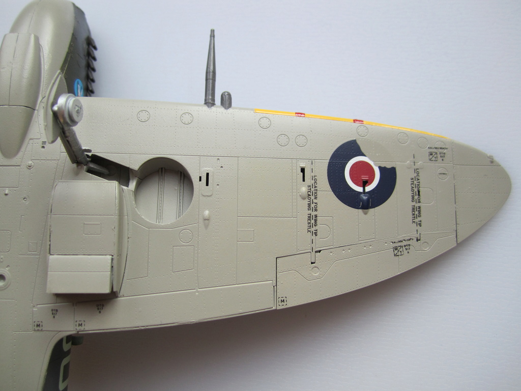 Supermarine Spitfire MK IX C 1/48 Eduard Img_2262