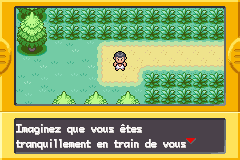 [Vert Feuille] Le Scrunlocke Pokem220