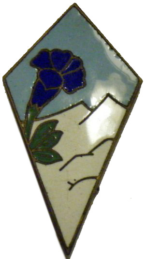 Les insignes des Divisions d’Infanterie en 1939-1940 27di10