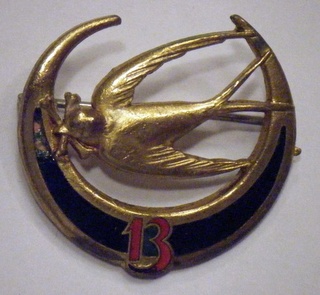 Les insignes d'Infanterie d'Afrique 1939-1940 Dscf0512