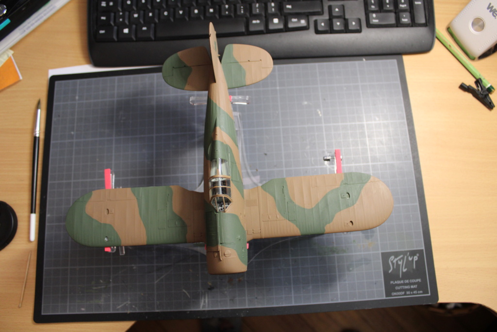 [Hasegawa] 1/72 - Curtiss P-40E Kittyhawk Mk.1    (cp40) 16_cam10