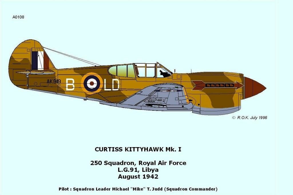 [Hasegawa] 1/72 - Curtiss P-40E Kittyhawk Mk.1    (cp40) Editor10